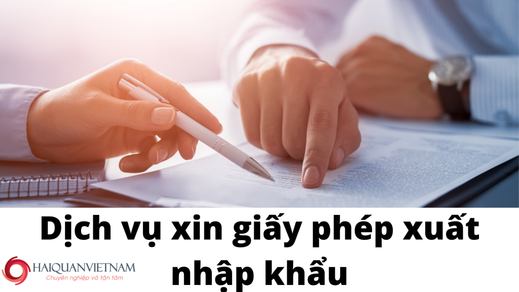 Dịch vụ xin giấy phép xuất nhập khẩu