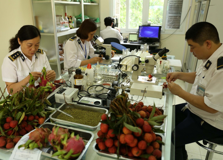 Thủ tục làm Kiểm dịch thực vật