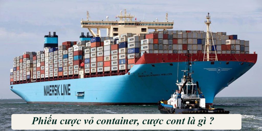 Cược Cont là gì, Phiếu Cược Cont, Thủ Tục Cược Vỏ Cont Với Hãng Tàu