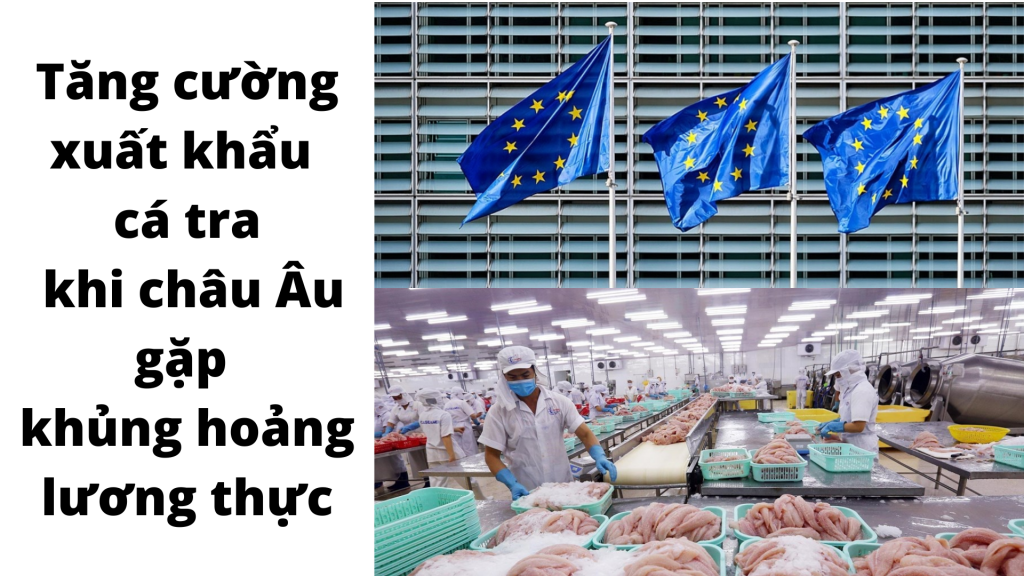Tăng cường xuất khẩu cá tra khi châu Âu gặp khủng hoảng lương thực
