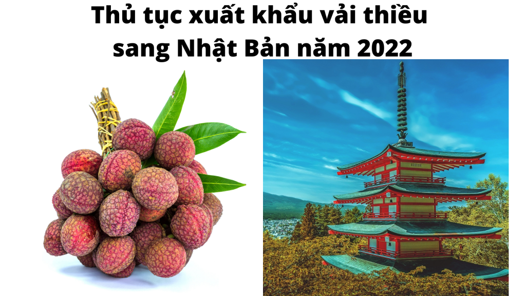 Thủ tục xuất khẩu vải thiều sang Nhật Bản năm 2022