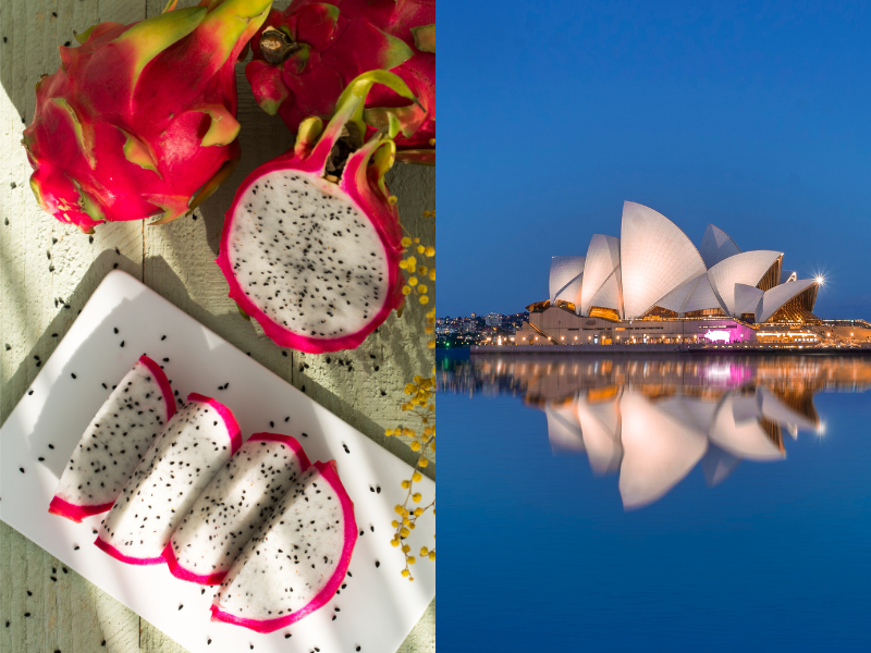 Thanh long Việt Nam xuất khẩu tới Úc