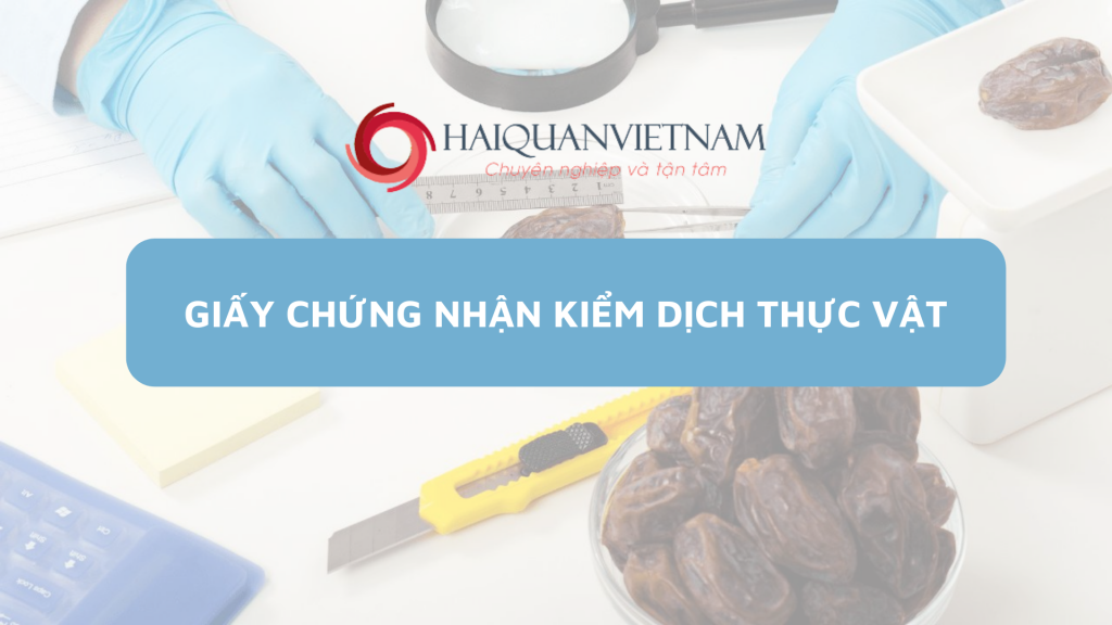 Giấy chứng nhận kiểm dịch thực vật xuất khẩu năm 2022
