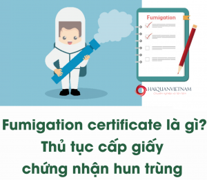 Những thông tin cần biết về giấy Chứng nhận hun trùng